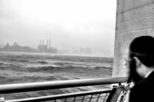 Article : Katrina, Sandy … ces méchantes filles des eaux et de la météo !